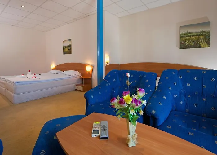 Paloma - In The Center Of The Sunny Beach